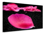 Canvas print The petals