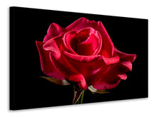 Load image into Gallery viewer, Canvas print The flower of love
