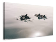 Canvas print The dolphins