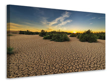 Load image into Gallery viewer, Canvas print The drought
