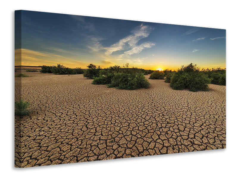Canvas print The drought