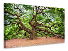 Load image into Gallery viewer, Canvas print The Oak
