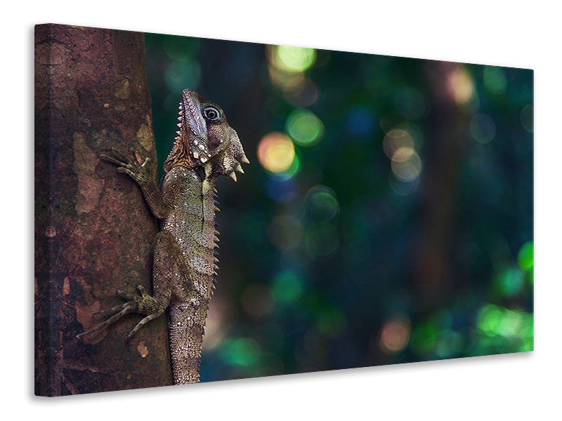 Canvas print The lizard
