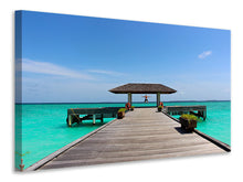 Load image into Gallery viewer, Canvas print The freedom at the sea
