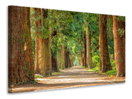 Canvas print The green avenue