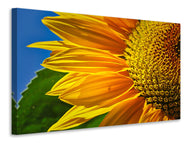 Canvas print The bud Close up