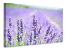 Load image into Gallery viewer, Canvas print The lavender blossom
