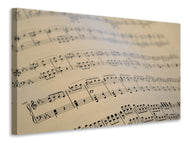 Canvas print The music notes