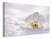 Load image into Gallery viewer, Canvas print The orchids bloom
