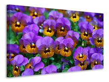 Load image into Gallery viewer, Canvas print The pansies
