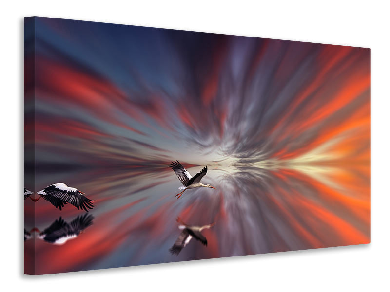 Canvas print The storks