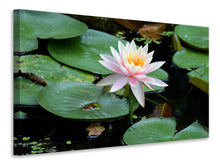 Load image into Gallery viewer, Canvas print The proud water lily
