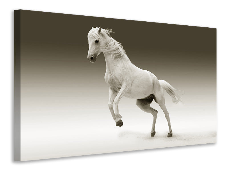 Canvas print The proud mare
