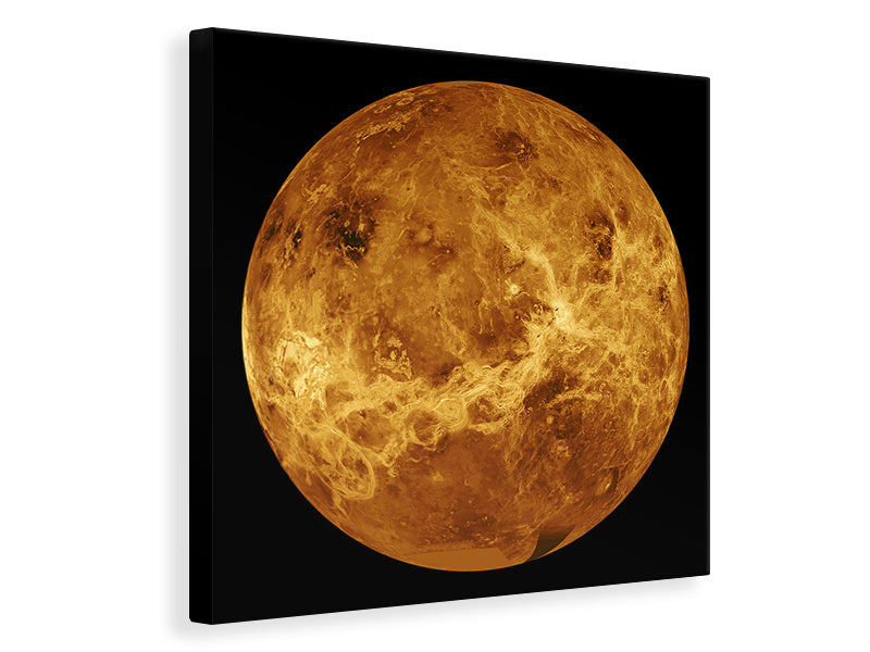 Canvas print The Venus
