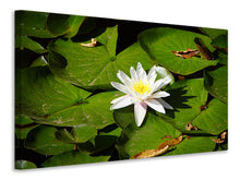 Load image into Gallery viewer, Canvas print The white water lily
