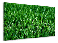 Canvas print The meadow in XL