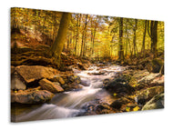 Canvas print Real nature beauty