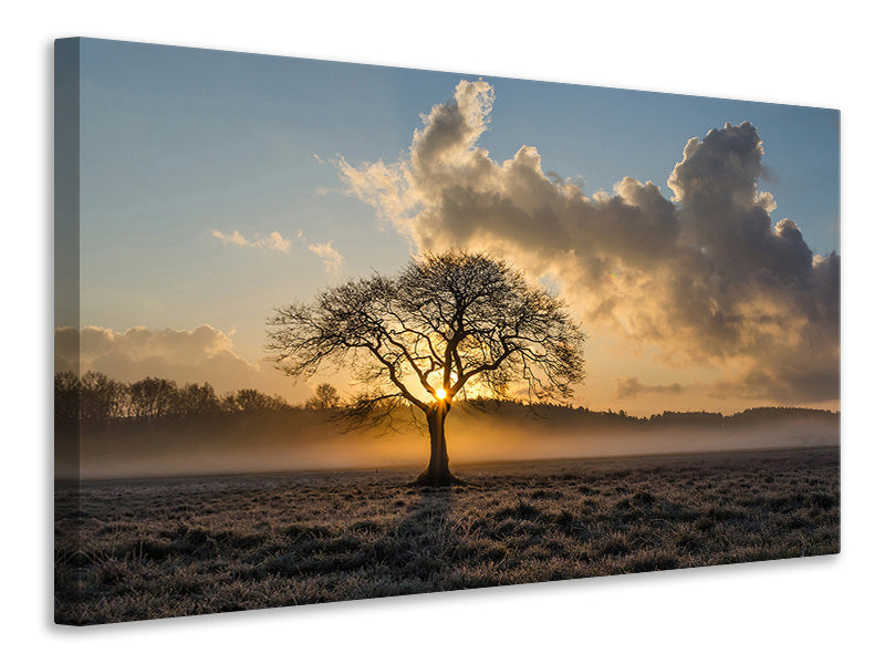 Canvas print A lonely tree