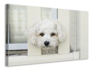 Canvas print A dog girl to fall in love