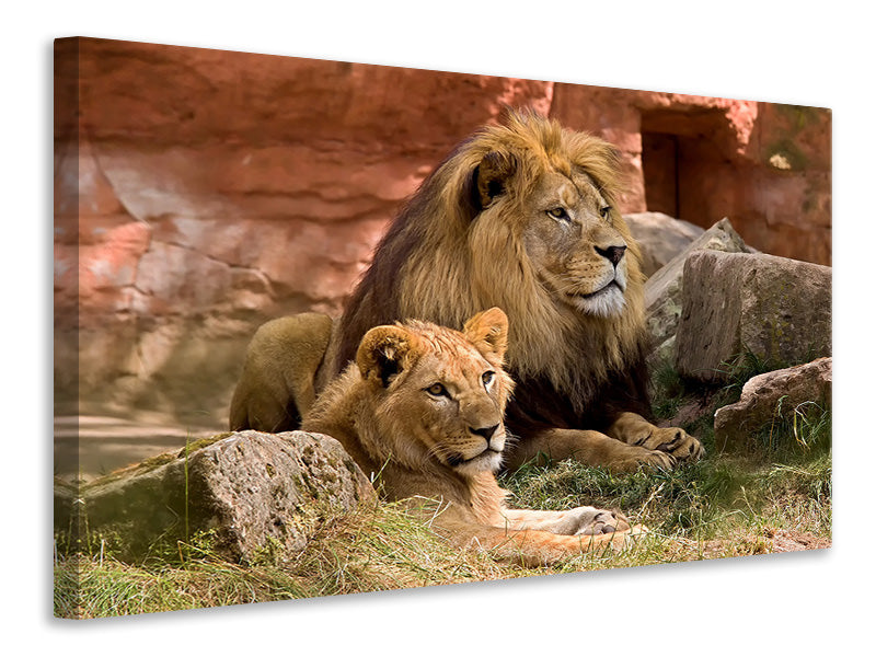 Canvas print A lion couple