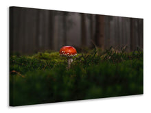 Load image into Gallery viewer, Canvas print A mushroom in the forest
