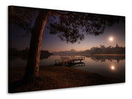 Canvas print A lake at the forest
