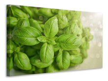 Load image into Gallery viewer, Canvas print A bouquet of basil
