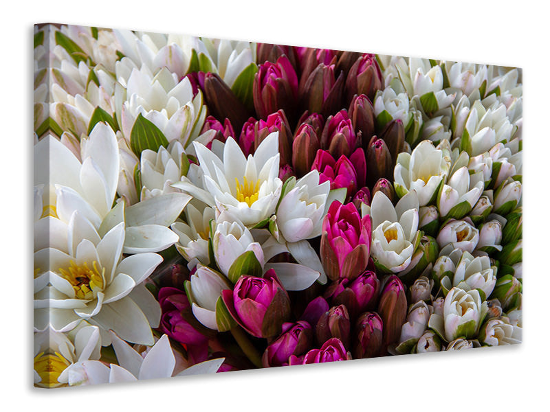 Canvas print A bouquet of water lilies
