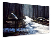 Load image into Gallery viewer, Canvas print A path in the snow
