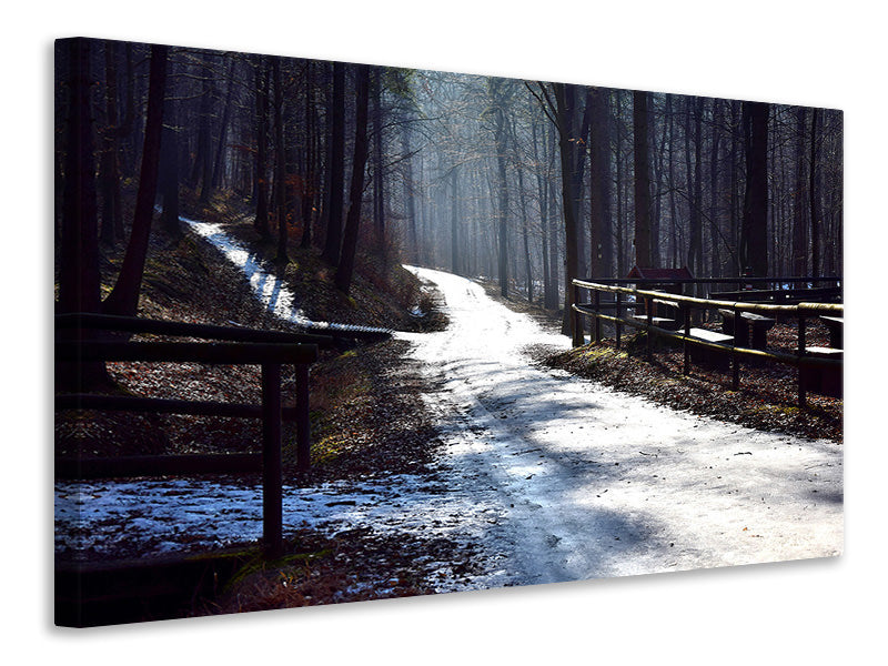 Canvas print A path in the snow