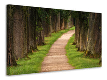 Load image into Gallery viewer, Canvas print A path in the forest
