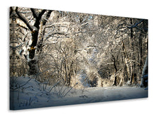 Load image into Gallery viewer, Canvas print A winter dream
