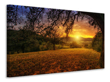 Load image into Gallery viewer, Canvas print A landscape in the sunset
