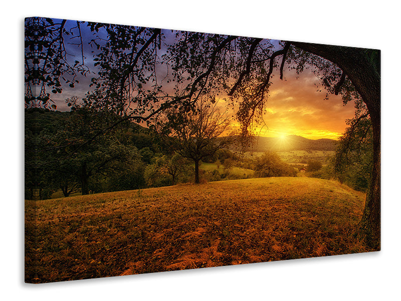 Canvas print A landscape in the sunset