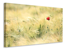 Load image into Gallery viewer, Canvas print A poppy
