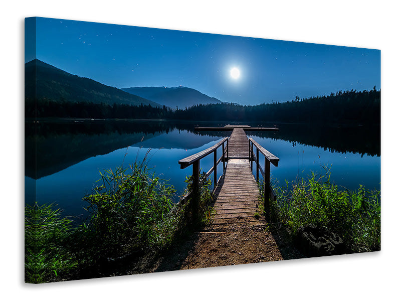 Canvas print One night at full moon