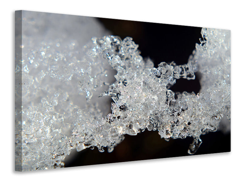 Canvas print Ice crystals XL