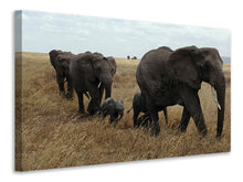 Load image into Gallery viewer, Canvas print Elephant family

