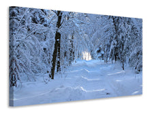 Load image into Gallery viewer, Canvas print Finally winter
