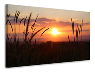 Canvas print Adorable sunset