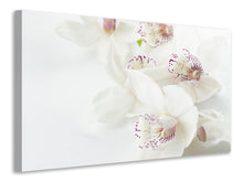 Load image into Gallery viewer, Canvas print Fantastic orchids

