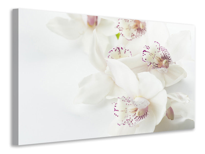 Canvas print Fantastic orchids