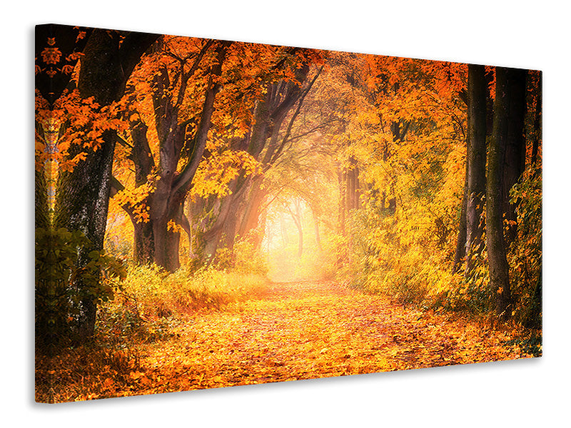 Canvas print Colors magnificent forest