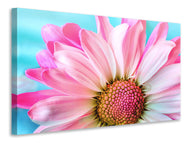 Canvas print Colored flower