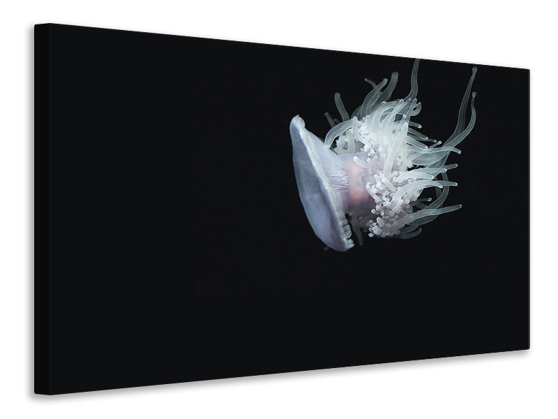 Canvas print Fascinating jellyfish XL
