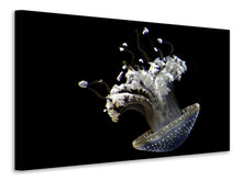 Load image into Gallery viewer, Canvas print Fascinating jellyfish

