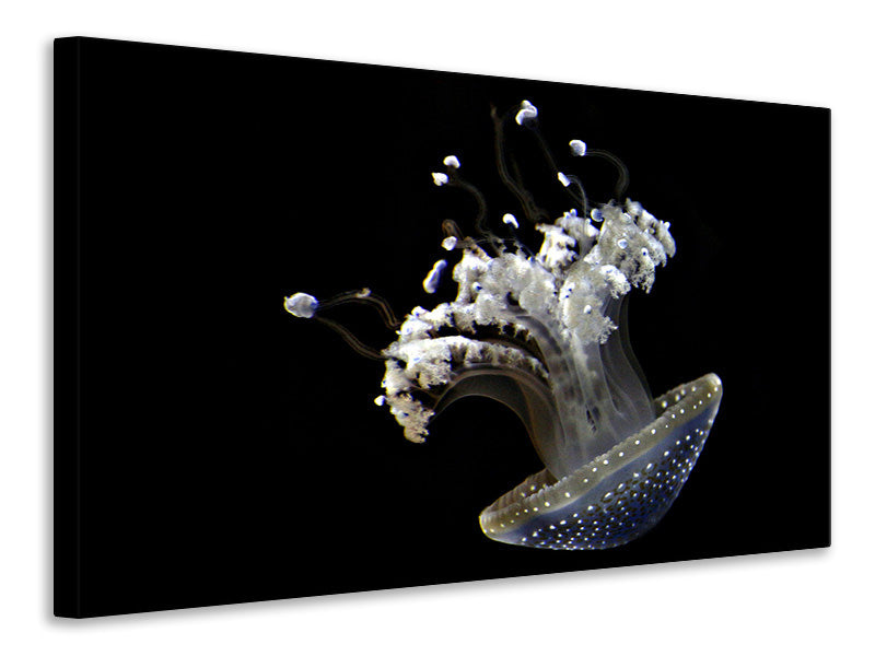 Canvas print Fascinating jellyfish