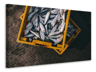 Canvas print Fish in boxes