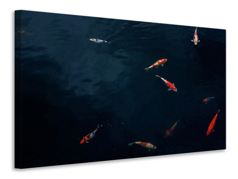 Canvas print Fish in the pond
