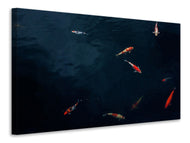 Canvas print Fish in the pond